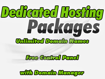 Cheap dedicated hosting servers service